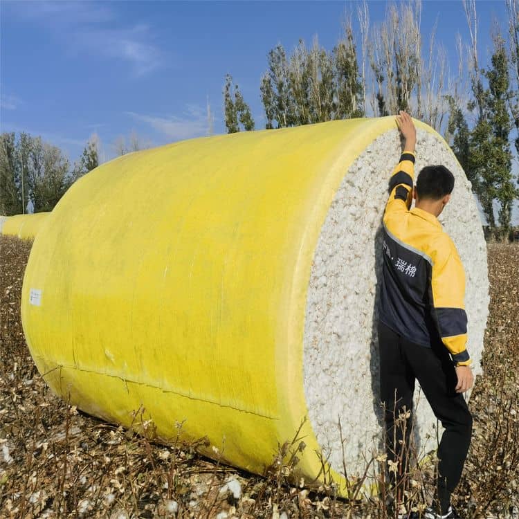 IMG_20231008_113457_20231127_094738