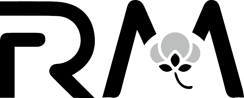 Avada Car Dealer Logo